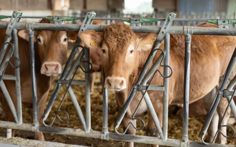 Bienvenue à la ferme