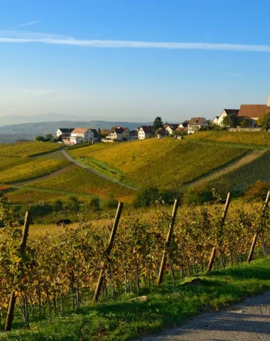 Le Vignoble de Markgräflerland